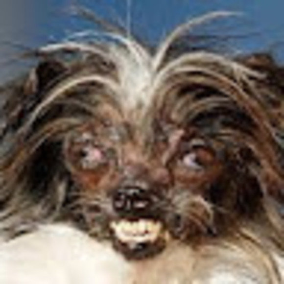 Meet your Posher, Josh - Picture 1 of 1